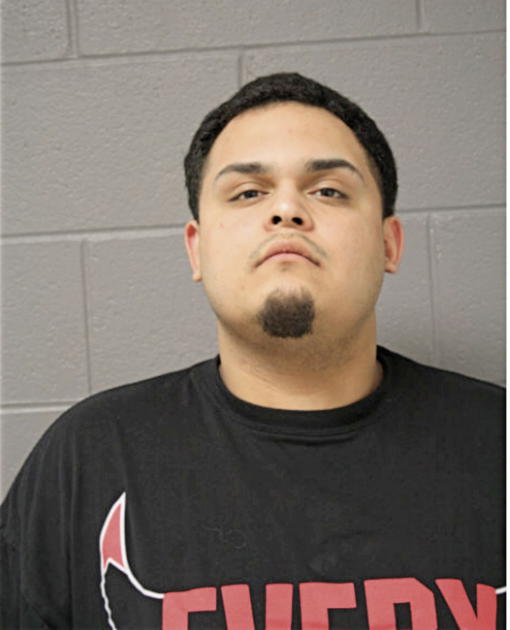 JULIO HERNANDEZ, Cook County, Illinois