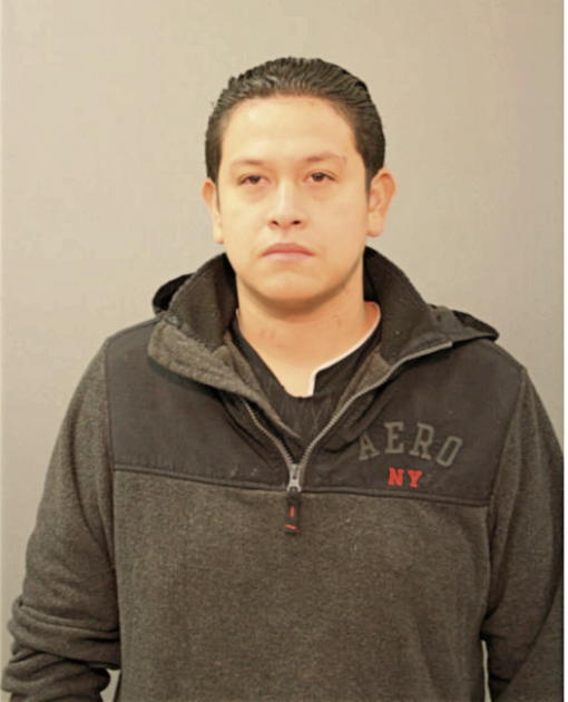 GIOVANNI HERRERA, Cook County, Illinois