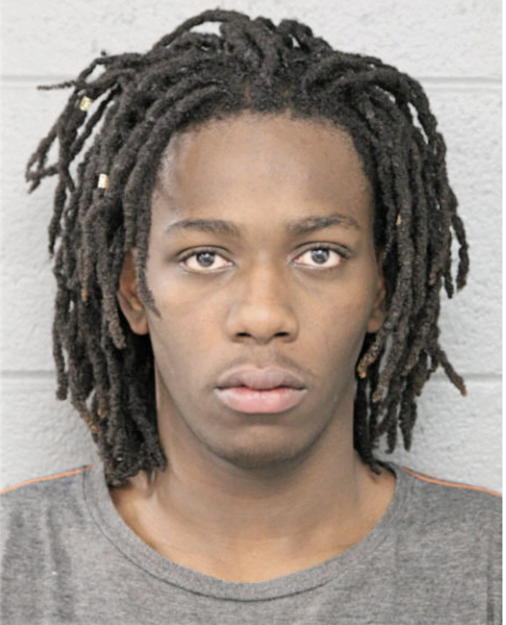 LEE A HOLLOWAY, Cook County, Illinois