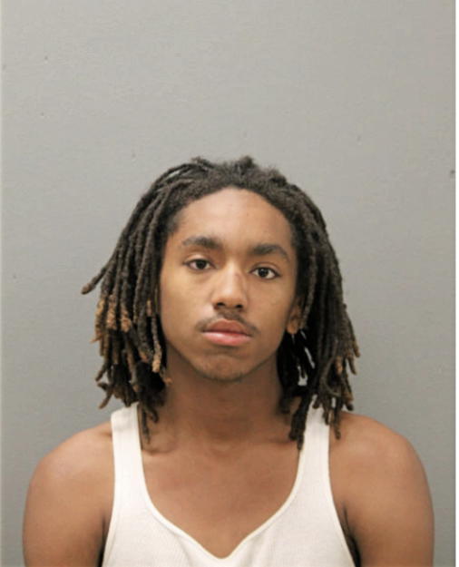JOSHUA R JENKINS, Cook County, Illinois