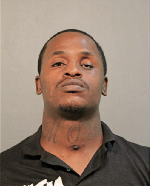 CALVIN T JOHNSON, Cook County, Illinois