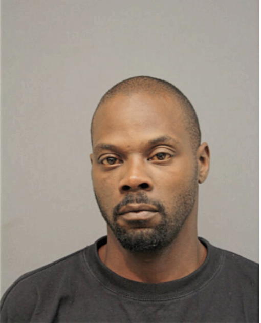 LASHAUN E JOHNSON, Cook County, Illinois