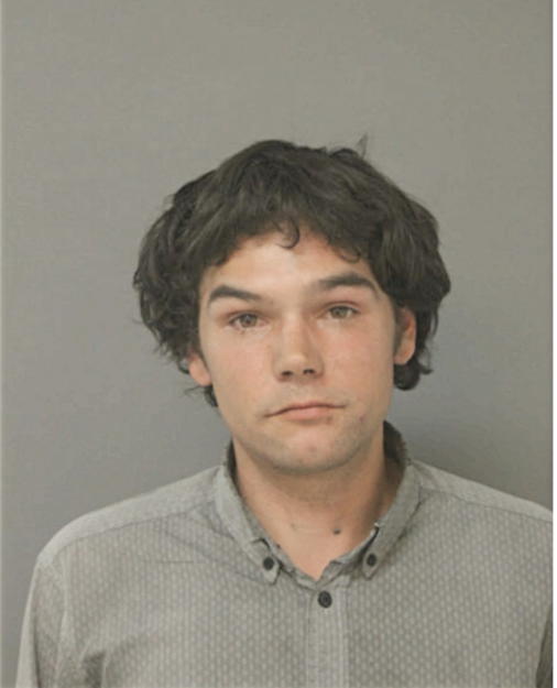NICHOLAS F LITRENTO, Cook County, Illinois