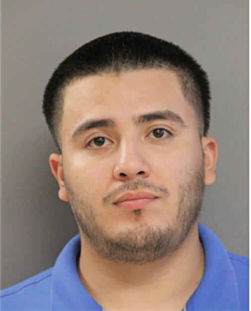 ERNESTO F LOZA-ROCHA, Cook County, Illinois