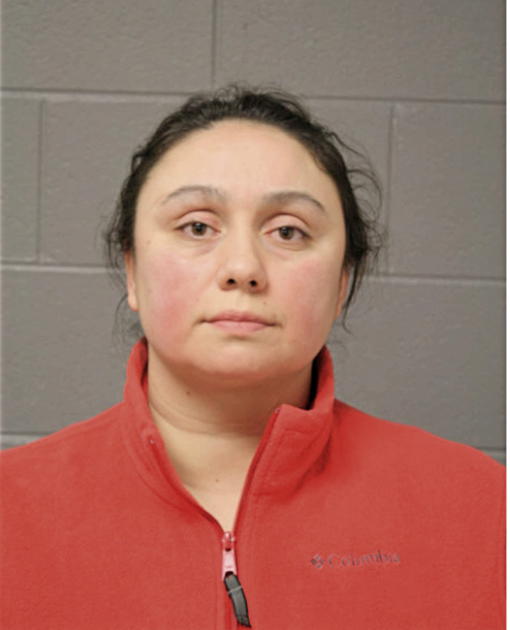 BRANDY L MARTINEZ, Cook County, Illinois