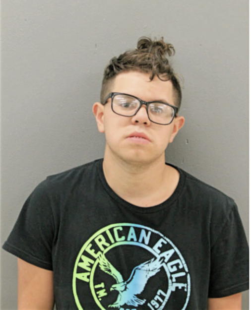 ANTONIO A MENDIETA, Cook County, Illinois