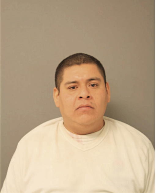 AGUSTIN A NUNEZ, Cook County, Illinois