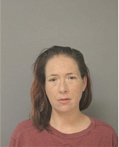 AUDRA P RINTAMAKI, Cook County, Illinois