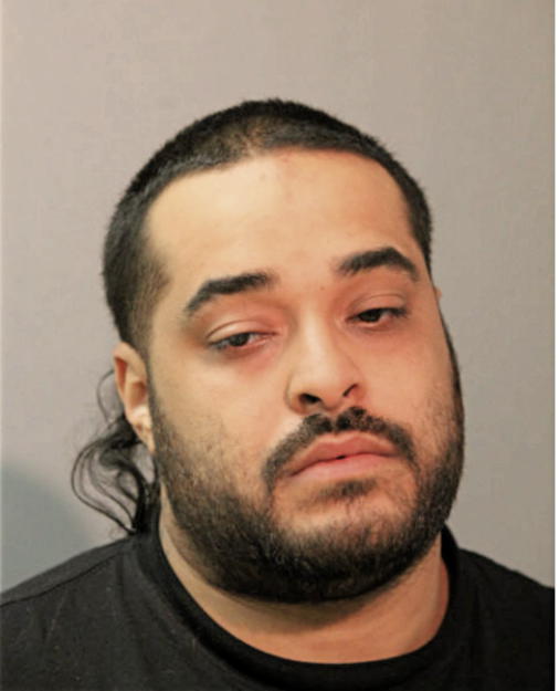 HECTOR L SANTIAGO, Cook County, Illinois