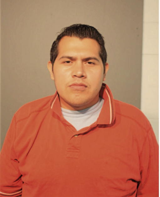 RAUL ALBERTO VILLEGAS-GONZALEZ, Cook County, Illinois