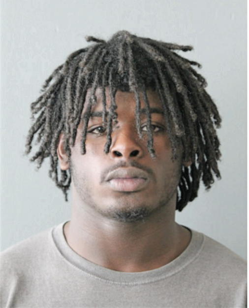 MAURICE W WARRIOR, Cook County, Illinois