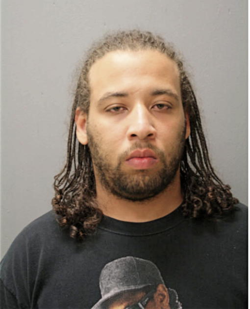 KENNETH S ANDERSON, Cook County, Illinois