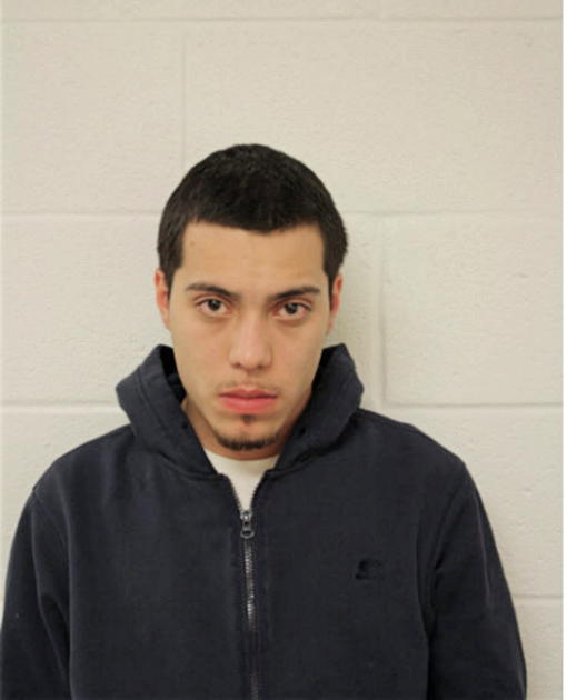 BRANDON BOLANOS, Cook County, Illinois