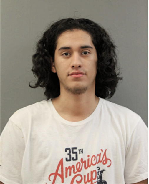CHRISTOPHER GALEANA, Cook County, Illinois