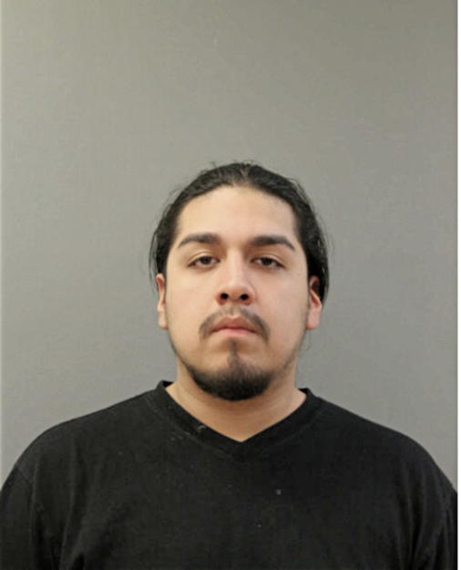ERASMO GONZALEZ, Cook County, Illinois