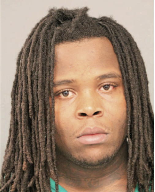 TERRANCE E GOSTON, Cook County, Illinois