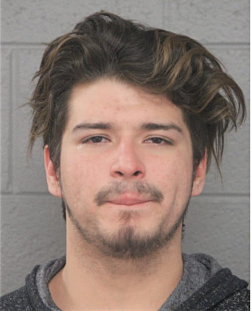 WILLIAM T HALM, Cook County, Illinois