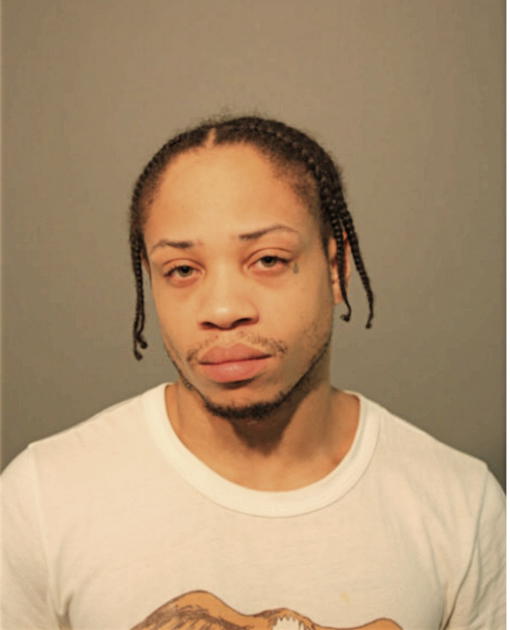 TERRANCE J HOGAN, Cook County, Illinois