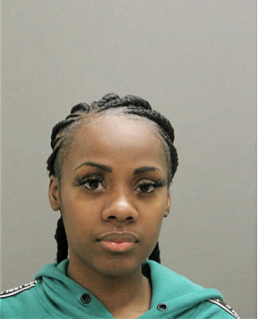 SHERRELL I HUDSON, Cook County, Illinois