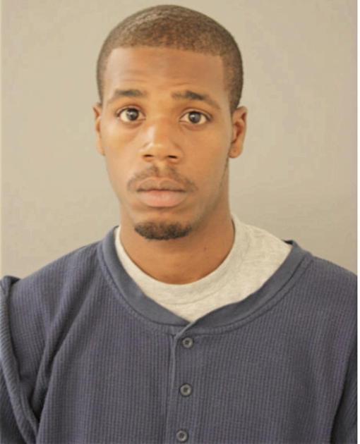 BRANDON P JOHNSON, Cook County, Illinois