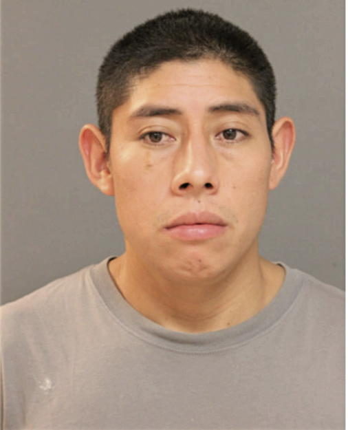 JUAN P LEONEL, Cook County, Illinois