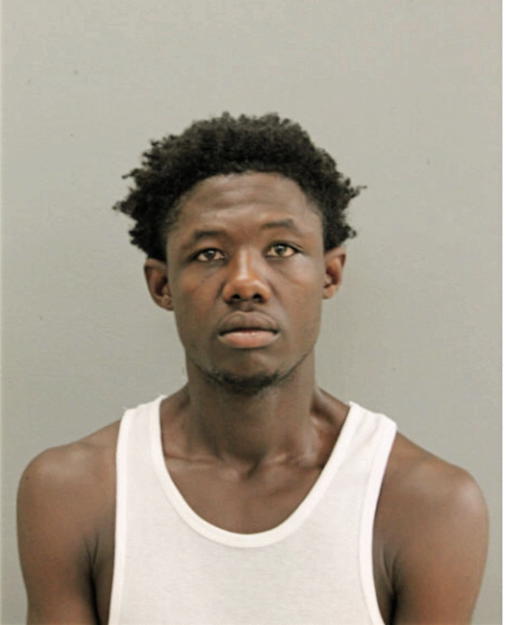 DEREK J NORMAN, Cook County, Illinois