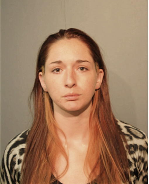 MEGHAN E OLSON, Cook County, Illinois