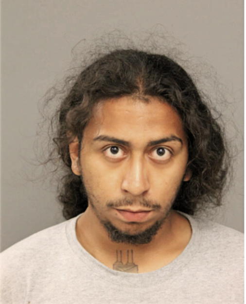 GEOVANI A RAMOS, Cook County, Illinois