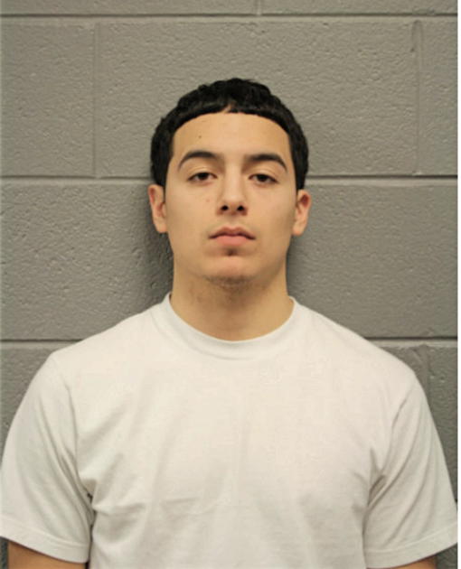 JOSUE E SALAS, Cook County, Illinois