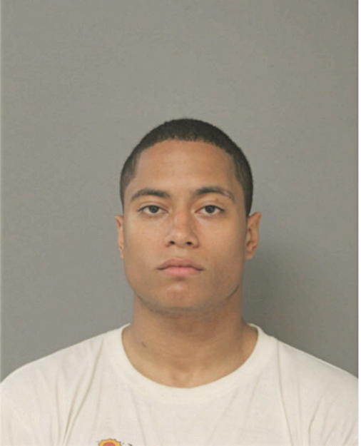 ANTHONY O SCHLEICHER, Cook County, Illinois