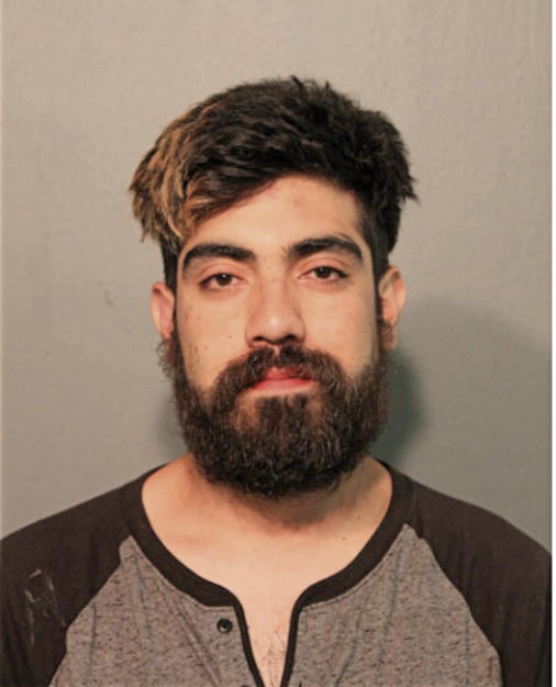GABRIEL E TALAMANTES, Cook County, Illinois