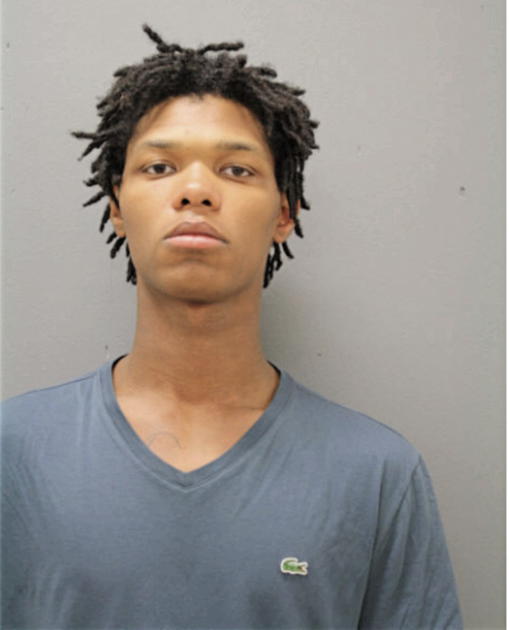 JOHN L WOODARD, Cook County, Illinois