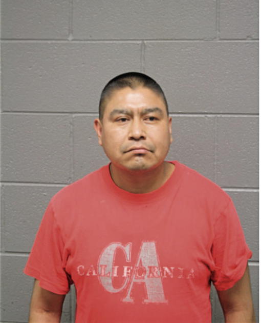 SAUL ZAVALA-GARCIA, Cook County, Illinois