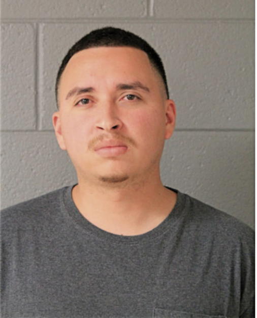 MIGUEL ZENDEJAS, Cook County, Illinois