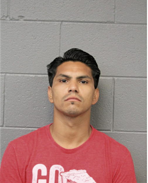 JOSEPH DAVID ALANIS, Cook County, Illinois