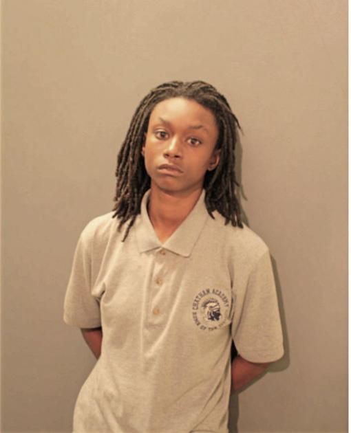 BRIANNA AMOS, Cook County, Illinois