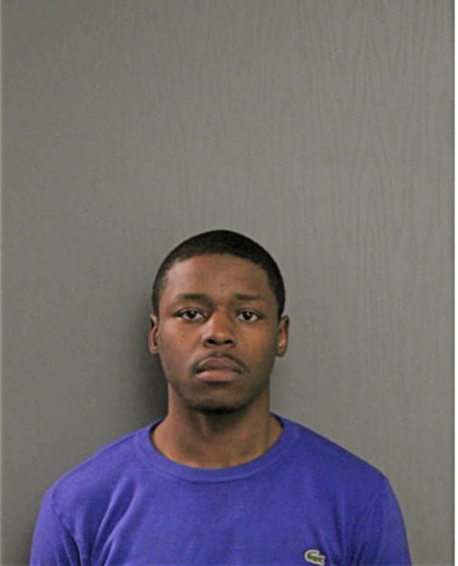 JAVONTE S ANDERSON, Cook County, Illinois