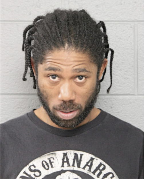 MARON L ANDERSON, Cook County, Illinois