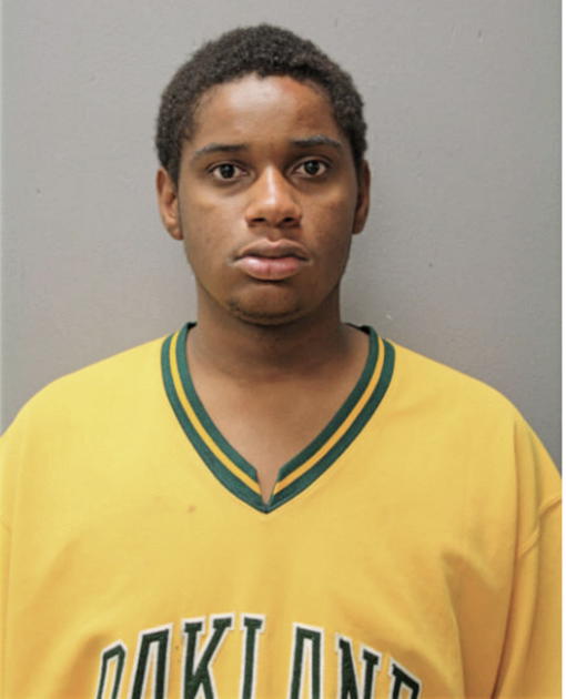 DARRYL E BAYS, Cook County, Illinois