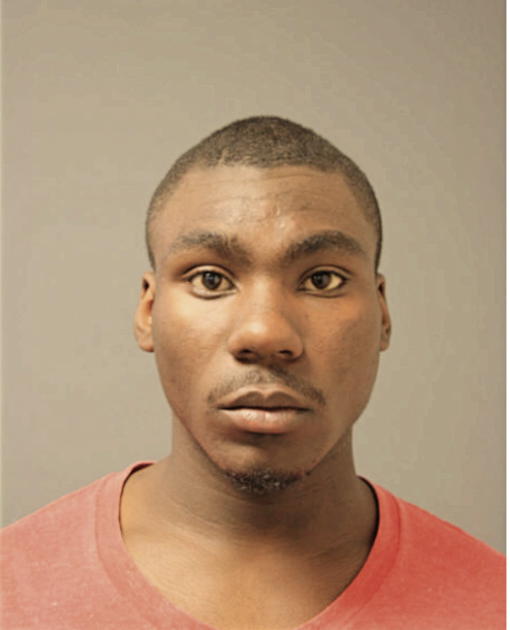TYRIN D BEECHAM, Cook County, Illinois