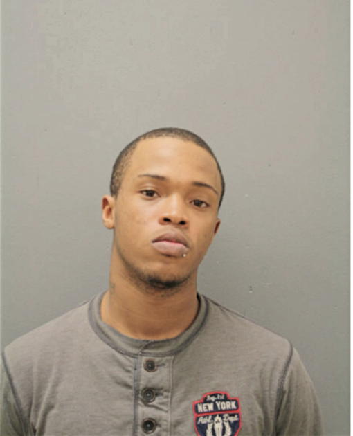 CHRISTOPHER K BROWN, Cook County, Illinois