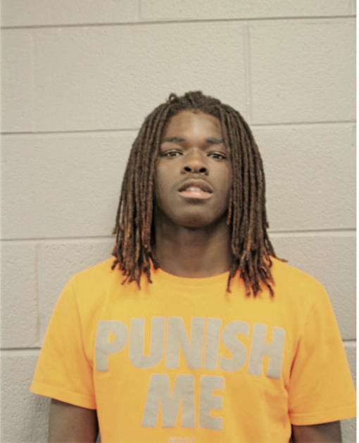 DAVIONNE C CARR, Cook County, Illinois