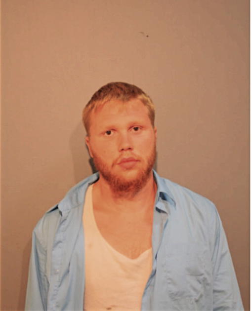 DAVID R CZUBAK, Cook County, Illinois