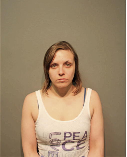 MEGAN L GATLIN, Cook County, Illinois