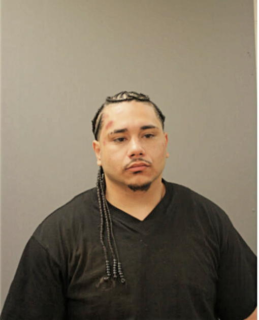 MICHAEL A GEIGEL, Cook County, Illinois