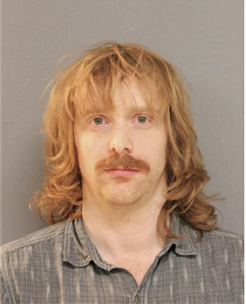 ROBERT S HAMILTON, Cook County, Illinois