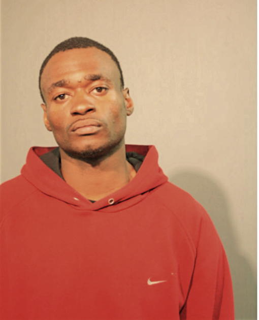 TERRELL L HAMMONDS, Cook County, Illinois