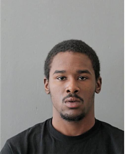 KENJI R HAWTHORNE, Cook County, Illinois