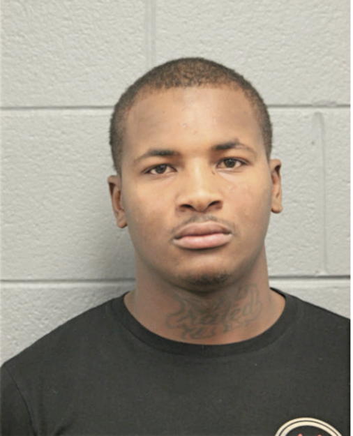 TERRENCE L JOHNSON, Cook County, Illinois