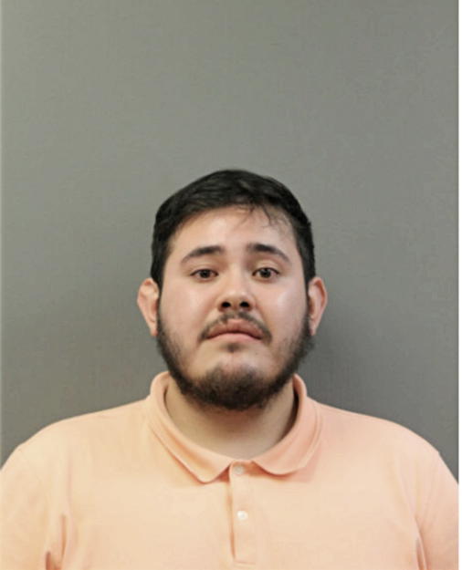 JORGE L SALGADO, Cook County, Illinois